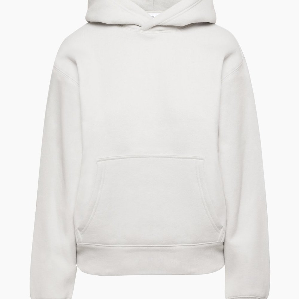 Aritzia Tna Cozy Fleece Perfect Hoodie